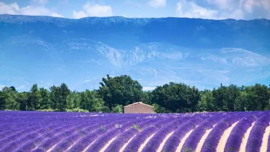 Chef´s Table: Sommer in der Provence